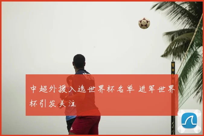 中超外援入选世界杯名单 进军世界杯引发关注