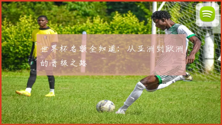 世界杯名额全知道:从亚洲到欧洲的晋级之路