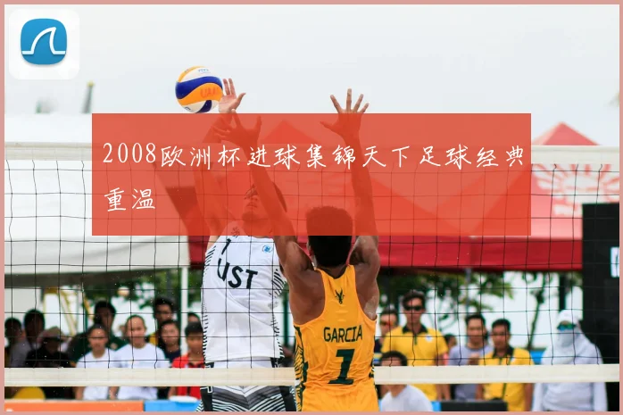 2008欧洲杯进球集锦天下足球经典重温