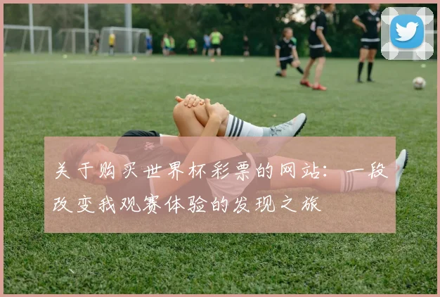 关于购买世界杯彩票的网站：一段改变我观赛体验的发现之旅