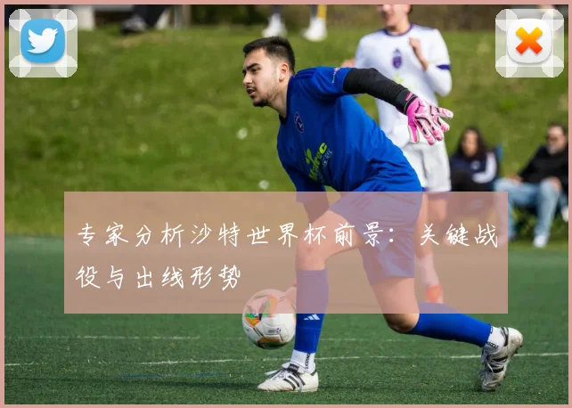 专家分析沙特世界杯前景：关键战役与出线形势