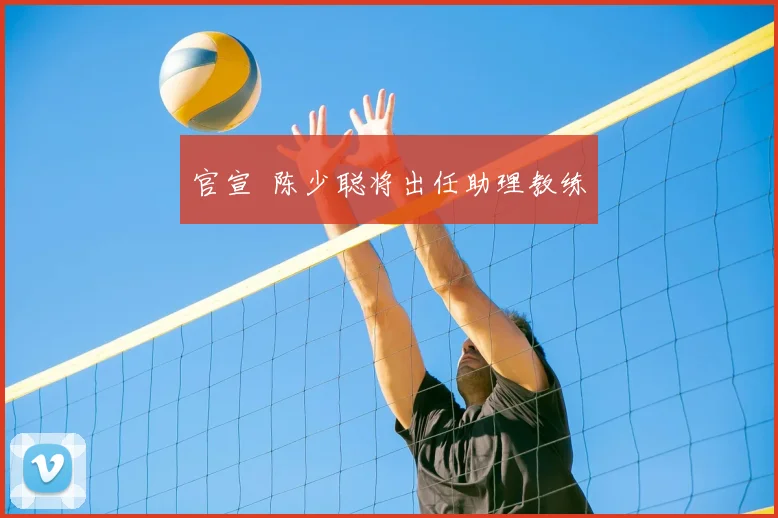 官宣 陈少聪将出任助理教练