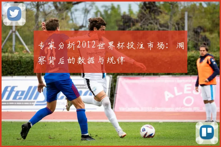专家分析2012世界杯投注市场：洞察背后的数据与规律