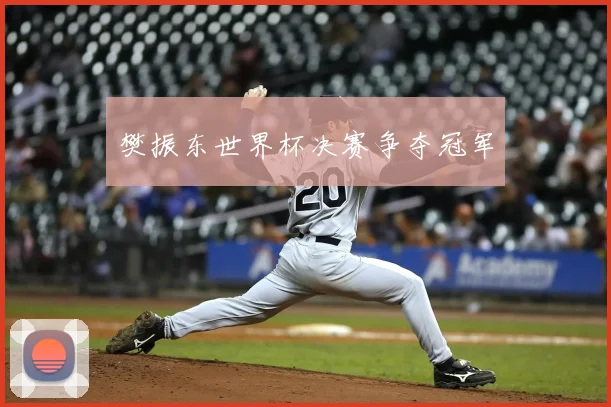 樊振东世界杯决赛争夺冠军